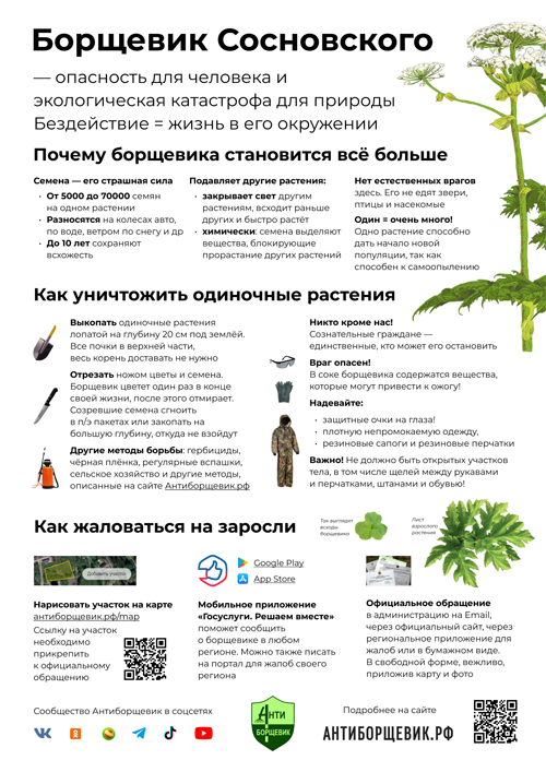 листовка движения антиборщевик про борщевик сосновского - объявление на столб